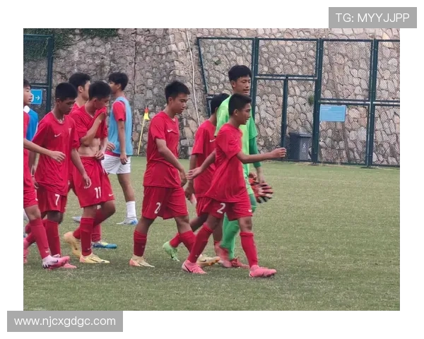 成都足球队的灵活性探讨与战术创新分析